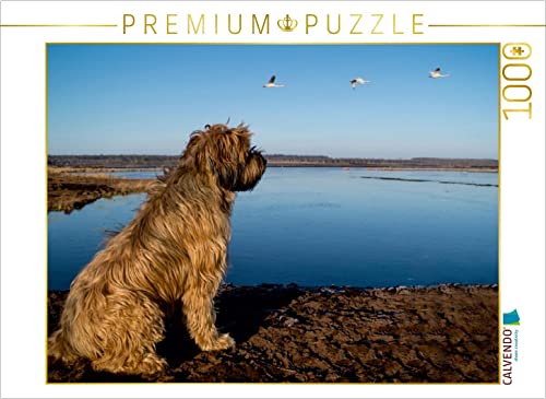 CALVENDO Puzzle Berger de Brie 1000 Teile Puzzle quer | 1000 Teile Lege-Größe 64 x 48 cm Foto-Puzzle für glückliche Stunden von CALVENDO