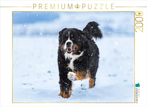 CALVENDO Puzzle Berner Sennenhund im Schnee | 2000 Teile Lege-Größe 90 x 67 cm Foto-Puzzle für glückliche Stunden CALVENDO Puzzle Berner Sennenhund im Schnee | 2000 Teile Lege-Größe 90 x 67 cm Foto-Puzzle für glückliche Stunden von CALVENDO