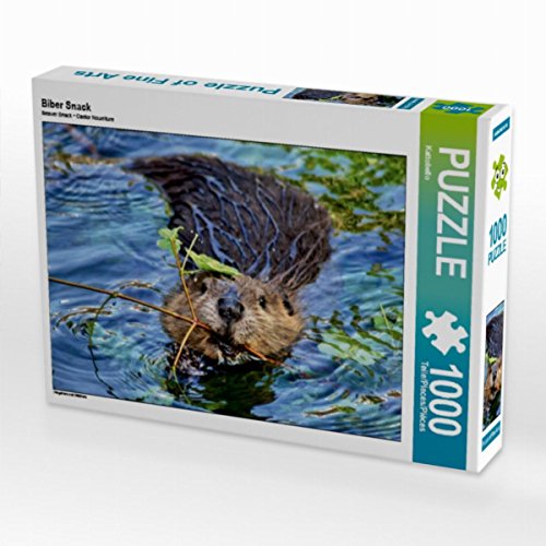 CALVENDO Puzzle Biber Snack 1000 Teile Lege-Größe 64 x 48 cm Foto-Puzzle Bild von Kattobello von CALVENDO