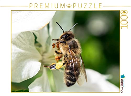CALVENDO Puzzle Biene ganz nah 1000 Teile Puzzle quer | 1000 Teile Lege-Größe 64 x 48 cm Foto-Puzzle für glückliche Stunden CALVENDO Puzzle Biene ganz nah 1000 Teile Puzzle quer | 1000 Teile Lege-Größe 64 x 48 cm Foto-Puzzle für glückliche Stunden von CALVENDO