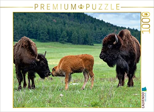 CALVENDO Puzzle Bison Familie im Custer State Park 1000 Teile Puzzle quer | 1000 Teile Lege-Größe 64 x 48 cm Foto-Puzzle für glückliche Stunden von CALVENDO