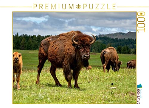 CALVENDO Puzzle Bison Familie im Custer State Park 1000 Teile Puzzle quer | 1000 Teile Lege-Größe 64 x 48 cm Foto-Puzzle für glückliche Stunden CALVENDO Puzzle Bison Familie im Custer State Park 1000 Teile Puzzle quer | 1000 Teile Lege-Größe 64 x 48 cm Foto-Puzzle für glückliche Stunden von CALVENDO