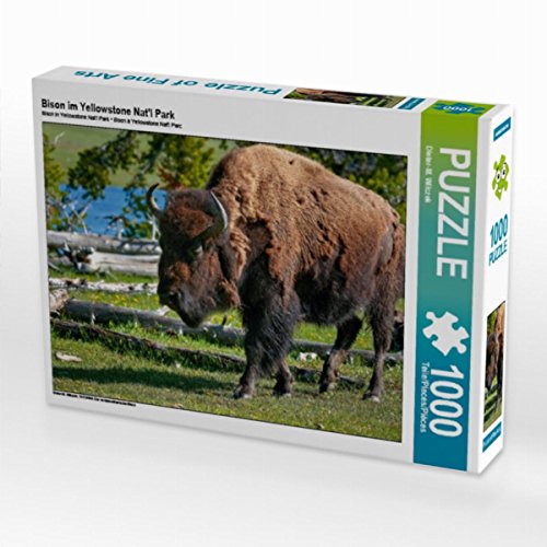 CALVENDO Puzzle Bison im Yellowstone Nat'l Park 1000 Teile Puzzle quer | 1000 Teile Lege-Größe 64 x 48 cm Foto-Puzzle für glückliche Stunden CALVENDO Puzzle Bison im Yellowstone Nat'l Park 1000 Teile Puzzle quer | 1000 Teile Lege-Größe 64 x 48 cm Foto-Puzzle für glückliche Stunden von CALVENDO