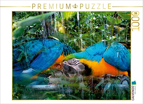 CALVENDO Puzzle Blauer Ara Papagei 1000 Teile Puzzle quer | 1000 Teile Lege-Größe 64 x 48 cm Foto-Puzzle für glückliche Stunden CALVENDO Puzzle Blauer Ara Papagei 1000 Teile Puzzle quer | 1000 Teile Lege-Größe 64 x 48 cm Foto-Puzzle für glückliche Stunden von CALVENDO