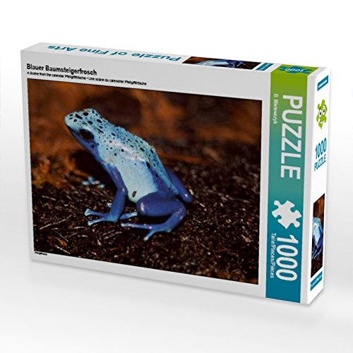 CALVENDO Puzzle Blauer Baumsteigerfrosch 1000 Teile Puzzle quer | Lege-Größe cm Foto-Puzzle für glückliche Stunden von CALVENDO