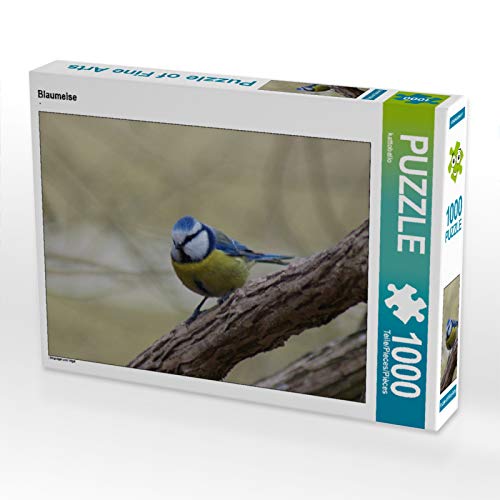 CALVENDO Puzzle Blaumeise 1000 Teile Puzzle quer | 1000 Teile Lege-Größe 64 x 48 cm Foto-Puzzle für glückliche Stunden CALVENDO Puzzle Blaumeise 1000 Teile Puzzle quer | 1000 Teile Lege-Größe 64 x 48 cm Foto-Puzzle für glückliche Stunden von CALVENDO