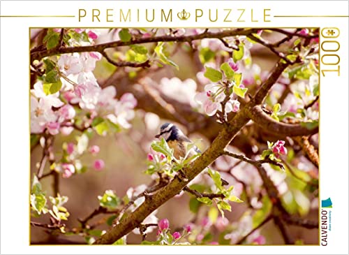 CALVENDO Puzzle Blaumeise im Frühling 1000 Teile Puzzle quer | 1000 Teile Lege-Größe 64 x 48 cm Foto-Puzzle für glückliche Stunden von CALVENDO