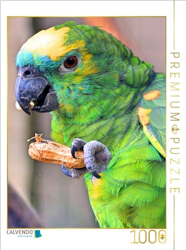 CALVENDO Puzzle Blaustirnamazone knabbert eine Erdnuss | 1000 Teile Lege-Größe 64 x 48 cm Foto-Puzzle für glückliche Stunden von CALVENDO