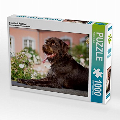 CALVENDO Puzzle Böhmisch Rauhbart 1000 Teile Lege-Größe 64 x 48 cm Foto-Puzzle Bild von Nadine Gerlach CALVENDO Puzzle Böhmisch Rauhbart 1000 Teile Lege-Größe 64 x 48 cm Foto-Puzzle Bild von Nadine Gerlach von CALVENDO