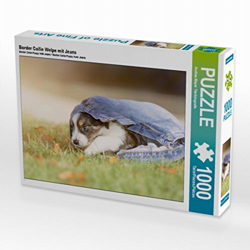 CALVENDO Puzzle Border Collie Welpe mit Jeans 1000 Teile Lege-Größe 64 x 48 cm Foto-Puzzle Bild von Andrea Mayer CALVENDO Puzzle Border Collie Welpe mit Jeans 1000 Teile Lege-Größe 64 x 48 cm Foto-Puzzle Bild von Andrea Mayer von CALVENDO