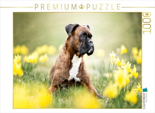 CALVENDO Puzzle Boxer im Blütenrausch | 1000 Teile Lege-Größe 64 x 48 cm Foto-Puzzle für glückliche Stunden CALVENDO Puzzle Boxer im Blütenrausch | 1000 Teile Lege-Größe 64 x 48 cm Foto-Puzzle für glückliche Stunden von CALVENDO