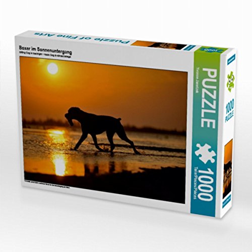 CALVENDO Puzzle Boxer im Sonnenuntergang 1000 Teile Lege-Größe 64 x 48 cm Foto-Puzzle Bild von Yvonne Janetzek CALVENDO Puzzle Boxer im Sonnenuntergang 1000 Teile Lege-Größe 64 x 48 cm Foto-Puzzle Bild von Yvonne Janetzek von CALVENDO