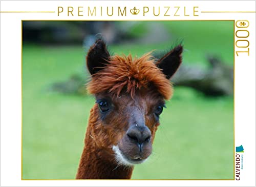CALVENDO Puzzle Braunes Alpaka 1000 Teile Puzzle quer | 1000 Teile Lege-Größe 64 x 48 cm Foto-Puzzle für glückliche Stunden CALVENDO Puzzle Braunes Alpaka 1000 Teile Puzzle quer | 1000 Teile Lege-Größe 64 x 48 cm Foto-Puzzle für glückliche Stunden von CALVENDO