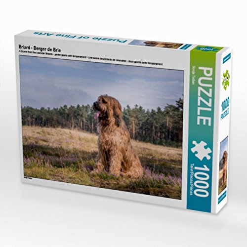 CALVENDO Puzzle Briard - Berger de Brie 1000 Teile Lege-Größe 64 x 48 cm Foto-Puzzle Bild von Sonja Teßen von CALVENDO