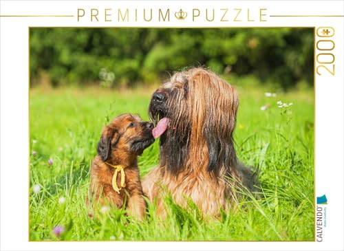 CALVENDO Puzzle Briard- Hündin mit einem ihrer Welpen | 2000 Teile Lege-Größe 90 x 67 cm Foto-Puzzle für glückliche Stunden von CALVENDO