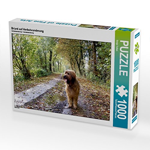 CALVENDO Puzzle Briard auf Herbstwanderung 1000 Teile Puzzle quer | 1000 Teile Lege-Größe 64 x 48 cm Foto-Puzzle für glückliche Stunden CALVENDO Puzzle Briard auf Herbstwanderung 1000 Teile Puzzle quer | 1000 Teile Lege-Größe 64 x 48 cm Foto-Puzzle für glückliche Stunden von CALVENDO