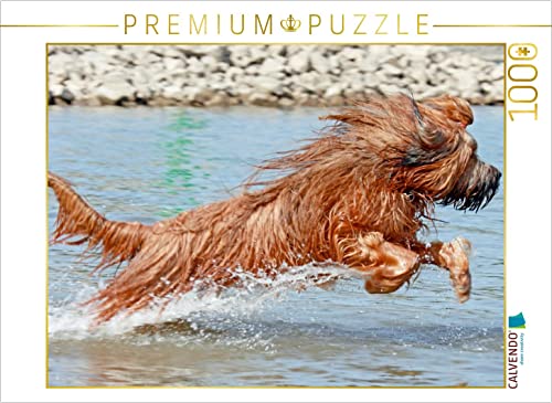 CALVENDO Puzzle Briard voller Lebensfreude beim Spielen 1000 Teile Puzzle quer | 1000 Teile Lege-Größe 64 x 48 cm Foto-Puzzle für glückliche Stunden von CALVENDO