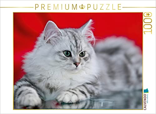 CALVENDO Puzzle Britisch Langhaar Kätzchen 1000 Teile Puzzle quer | 1000 Teile Lege-Größe 64 x 48 cm Foto-Puzzle für glückliche Stunden CALVENDO Puzzle Britisch Langhaar Kätzchen 1000 Teile Puzzle quer | 1000 Teile Lege-Größe 64 x 48 cm Foto-Puzzle für glückliche Stunden von CALVENDO