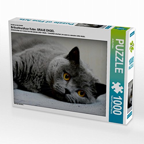 CALVENDO Puzzle Britischkurzhaar Katze. EIN Motiv aus dem Kalender GRAUE Engel 1000 Teile Lege-Größe 64 x 48 cm Foto-Puzzle Bild von Jacky-Fotos CALVENDO Puzzle Britischkurzhaar Katze. EIN Motiv aus dem Kalender GRAUE Engel 1000 Teile Lege-Größe 64 x 48 cm Foto-Puzzle Bild von Jacky-Fotos von CALVENDO