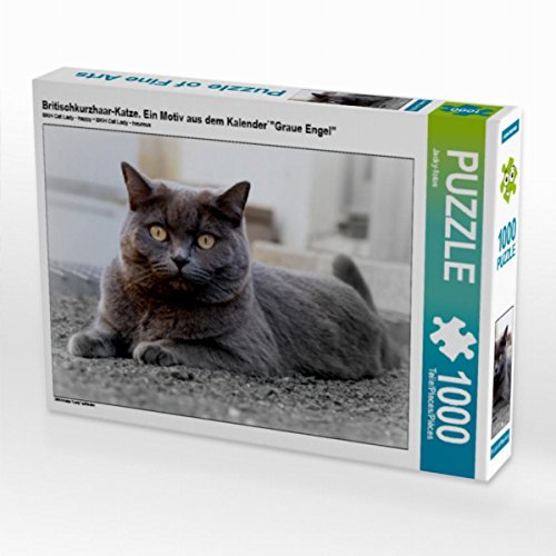 CALVENDO Puzzle Britischkurzhaar-Katze. EIN Motiv aus dem Kalender`Graue Engel 1000 Teile Lege-Größe 64 x 48 cm Foto-Puzzle Bild von Jacky-Fotos CALVENDO Puzzle Britischkurzhaar-Katze. EIN Motiv aus dem Kalender`Graue Engel 1000 Teile Lege-Größe 64 x 48 cm Foto-Puzzle Bild von Jacky-Fotos von CALVENDO