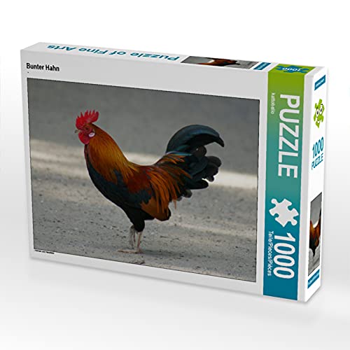 CALVENDO Puzzle Bunter Hahn 1000 Teile Puzzle quer | 1000 Teile Lege-Größe 64 x 48 cm Foto-Puzzle für glückliche Stunden von CALVENDO