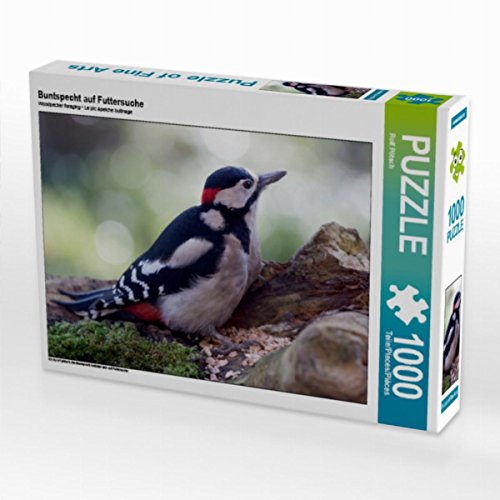 CALVENDO Puzzle Buntspecht auf Futtersuche 1000 Teile Puzzle quer | 1000 Teile Lege-Größe 64 x 48 cm Foto-Puzzle für glückliche Stunden von CALVENDO
