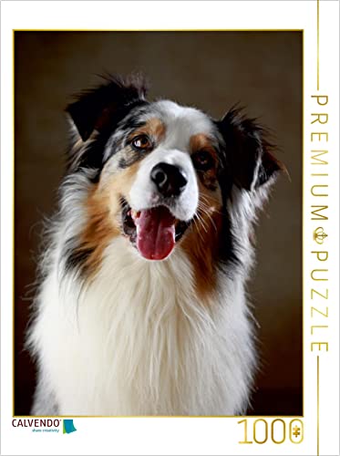 CALVENDO Puzzle Cash, 5 Jahre 1000 Teile Lege-Größe 48 x 64 cm Foto-Puzzle Bild von Jana Behr CALVENDO Puzzle Cash, 5 Jahre 1000 Teile Lege-Größe 48 x 64 cm Foto-Puzzle Bild von Jana Behr von CALVENDO