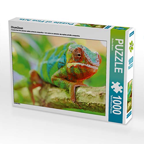 CALVENDO Puzzle Chamäleon 1000 Teile Puzzle quer | Lege-Größe cm Foto-Puzzle für glückliche Stunden von CALVENDO