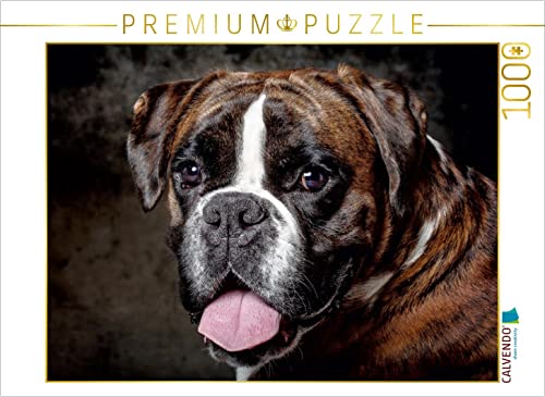 CALVENDO Puzzle Charakter Boxer 1000 Teile Lege-Größe 64 x 48 cm Foto-Puzzle Bild von Oliver Pinkoss von CALVENDO