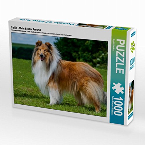 CALVENDO Puzzle Collie - Mein Bester Freund 1000 Teile Lege-Größe 64 x 48 cm Foto-Puzzle Bild von Sista-Tierfoto von CALVENDO