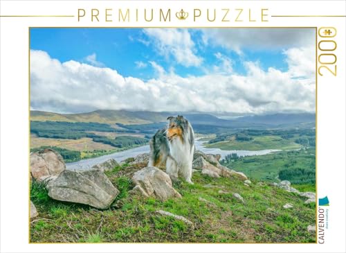 CALVENDO Puzzle Collie in den Galloways 2000 Teile Lege-Größe 90 x 67 cm Foto-Puzzle Bild von Julia Elling CALVENDO Puzzle Collie in den Galloways 2000 Teile Lege-Größe 90 x 67 cm Foto-Puzzle Bild von Julia Elling von CALVENDO