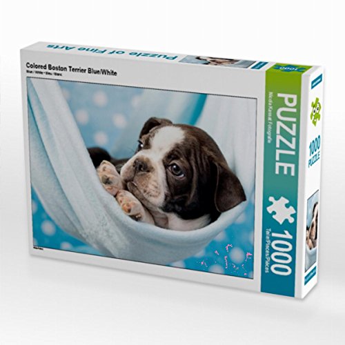 CALVENDO Puzzle Colored Boston Terrier Blue/White 1000 Teile Lege-Größe 64 x 48 cm Foto-Puzzle Bild von NiKaFotos CALVENDO Puzzle Colored Boston Terrier Blue/White 1000 Teile Lege-Größe 64 x 48 cm Foto-Puzzle Bild von NiKaFotos von CALVENDO