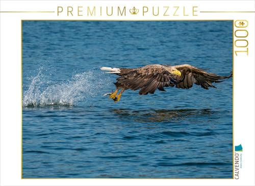 CALVENDO Puzzle DER SEEADLER EIN Portrait des größten Greifvogels Mitteleuropas 1000 Teile Lege-Größe 64 x 48 cm Foto-Puzzle Bild von Arne Wünsche CALVENDO Puzzle DER SEEADLER EIN Portrait des größten Greifvogels Mitteleuropas 1000 Teile Lege-Größe 64 x 48 cm Foto-Puzzle Bild von Arne Wünsche von CALVENDO