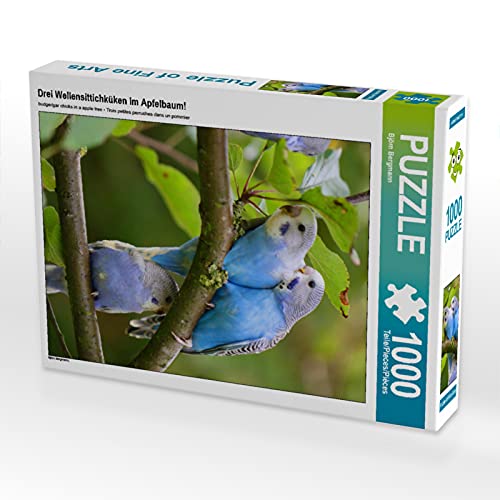 CALVENDO Puzzle DREI Wellensittichküken im Apfelbaum! 1000 Teile Puzzle hoch | Lege-Größe cm Foto-Puzzle für glückliche Stunden von CALVENDO