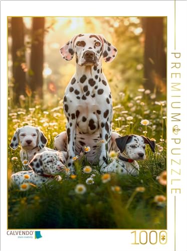 CALVENDO Puzzle Dalmatiner, die Familie beim kleinen Spaziergang | 1000 Teile Lege-Größe 64 x 48 cm Foto-Puzzle für glückliche Stunden CALVENDO Puzzle Dalmatiner, die Familie beim kleinen Spaziergang | 1000 Teile Lege-Größe 64 x 48 cm Foto-Puzzle für glückliche Stunden von CALVENDO