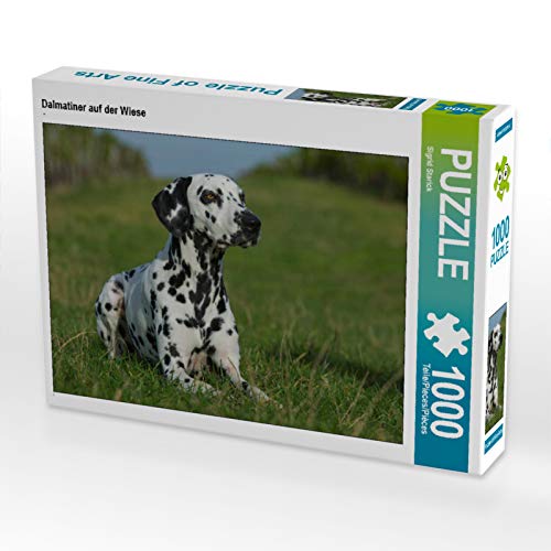 CALVENDO Puzzle Dalmatiner auf der Wiese 1000 Teile Puzzle quer | 1000 Teile Lege-Größe 64 x 48 cm Foto-Puzzle für glückliche Stunden von CALVENDO