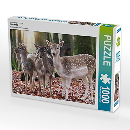CALVENDO Puzzle Damwild 1000 Teile Lege-Größe 64 x 48 cm Foto-Puzzle Bild von Sabine Löwer CALVENDO Puzzle Damwild 1000 Teile Lege-Größe 64 x 48 cm Foto-Puzzle Bild von Sabine Löwer von CALVENDO