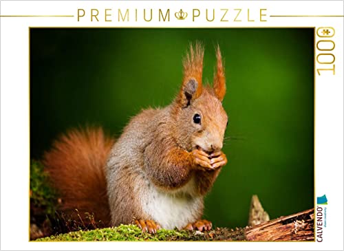 CALVENDO Puzzle Das Eichhörnchen 1000 Teile Puzzle quer | Lege-Größe cm Foto-Puzzle für glückliche Stunden von CALVENDO