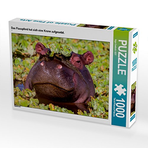 CALVENDO Puzzle Das Flusspferd hat Sich eine Krone aufgesetzt. 1000 Teile Puzzle quer | 1000 Teile Lege-Größe 64 x 48 cm Foto-Puzzle für glückliche Stunden CALVENDO Puzzle Das Flusspferd hat Sich eine Krone aufgesetzt. 1000 Teile Puzzle quer | 1000 Teile Lege-Größe 64 x 48 cm Foto-Puzzle für glückliche Stunden von CALVENDO
