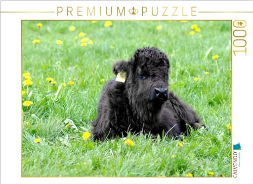 CALVENDO Puzzle Das kleine Schottische Hochlandrind genießt die Sonnenstrahlen. | 1000 Teile Lege-Größe 64 x 48 cm Foto-Puzzle für glückliche Stunden CALVENDO Puzzle Das kleine Schottische Hochlandrind genießt die Sonnenstrahlen. | 1000 Teile Lege-Größe 64 x 48 cm Foto-Puzzle für glückliche Stunden von CALVENDO