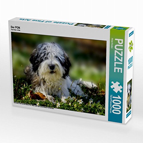 CALVENDO Puzzle Der PON 1000 Teile Puzzle quer | 1000 Teile Lege-Größe 64 x 48 cm Foto-Puzzle für glückliche Stunden CALVENDO Puzzle Der PON 1000 Teile Puzzle quer | 1000 Teile Lege-Größe 64 x 48 cm Foto-Puzzle für glückliche Stunden von CALVENDO