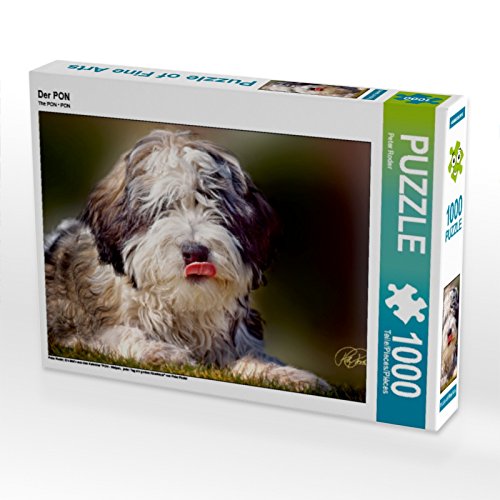 CALVENDO Puzzle Der PON 1000 Teile Puzzle quer | 1000 Teile Lege-Größe 64 x 48 cm Foto-Puzzle für glückliche Stunden CALVENDO Puzzle Der PON 1000 Teile Puzzle quer | 1000 Teile Lege-Größe 64 x 48 cm Foto-Puzzle für glückliche Stunden von CALVENDO