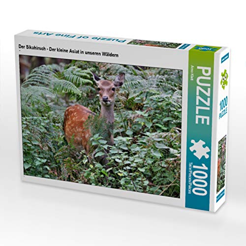 CALVENDO Puzzle Der Sikahirsch - Der kleine Asiat in unseren Wäldern | 1000 Teile Lege-Größe 64 x 48 cm Foto-Puzzle für glückliche Stunden von CALVENDO