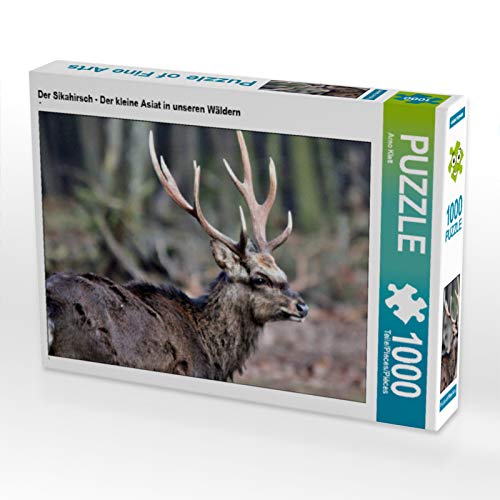 CALVENDO Puzzle Der Sikahirsch - Der kleine Asiat in unseren Wäldern | 1000 Teile Lege-Größe 64 x 48 cm Foto-Puzzle für glückliche Stunden von CALVENDO