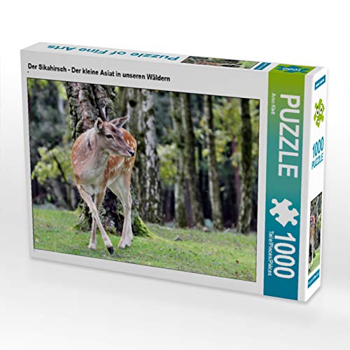 CALVENDO Puzzle Der Sikahirsch - Der kleine Asiat in unseren Wäldern | 1000 Teile Lege-Größe 64 x 48 cm Foto-Puzzle für glückliche Stunden CALVENDO Puzzle Der Sikahirsch - Der kleine Asiat in unseren Wäldern | 1000 Teile Lege-Größe 64 x 48 cm Foto-Puzzle für glückliche Stunden von CALVENDO