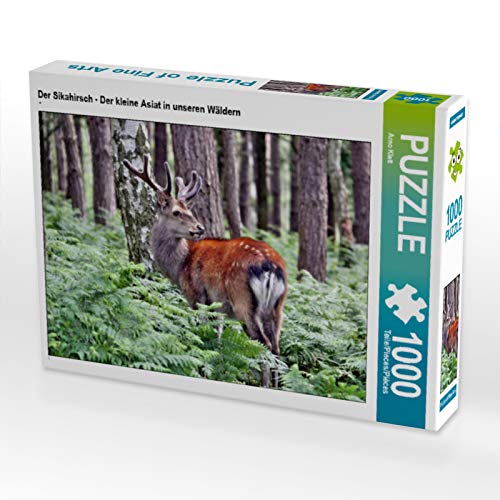 CALVENDO Puzzle Der Sikahirsch - Der kleine Asiat in unseren Wäldern | 1000 Teile Lege-Größe 64 x 48 cm Foto-Puzzle für glückliche Stunden von CALVENDO