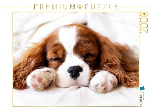 CALVENDO Puzzle Der Welpenkalender - Cavalier King Charles Spaniel 2000 Teile Lege-Größe 90 x 67 cm Foto-Puzzle Bild von Janina Bürger von CALVENDO