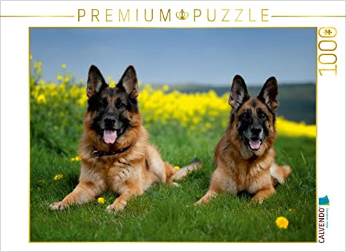 CALVENDO Puzzle Deutsche Schäferhunde 1000 Teile Puzzle quer | 1000 Teile Lege-Größe 64 x 48 cm Foto-Puzzle für glückliche Stunden CALVENDO Puzzle Deutsche Schäferhunde 1000 Teile Puzzle quer | 1000 Teile Lege-Größe 64 x 48 cm Foto-Puzzle für glückliche Stunden von CALVENDO