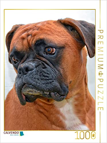 CALVENDO Puzzle Deutscher Boxer 1000 Teile Lege-Größe 48 x 64 cm Foto-Puzzle Bild von Peter Roder CALVENDO Puzzle Deutscher Boxer 1000 Teile Lege-Größe 48 x 64 cm Foto-Puzzle Bild von Peter Roder von CALVENDO