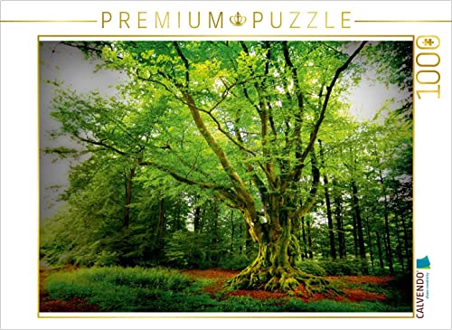 CALVENDO Puzzle Dicke Buche (Krombach, NRW) 1000 Teile Lege-Größe 64 x 48 cm Foto-Puzzle Bild von Mick-EL-Angelo von CALVENDO